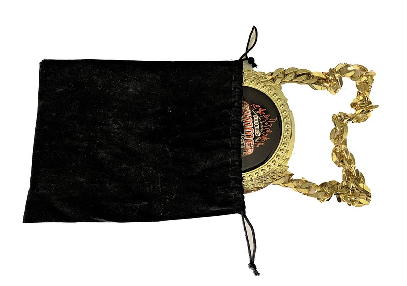 Express Medals MVP Most Valuable Player Champ Chain Trophy Award with a Center Plastic Plaque Plate Measuring 6 by 5.25 Inches and Includes a 34 Inch Plastic Chain with Black Velvet Presentation Bag. - Image 5
